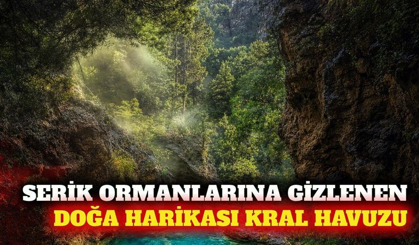Serik'te orman içine gizlenen doğal rota: Kral Havuzu