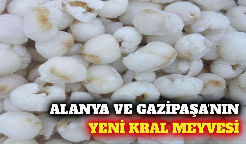 Alanya ve Gazipaşa'nın yeni tropikal ürünü liçi meyvesi