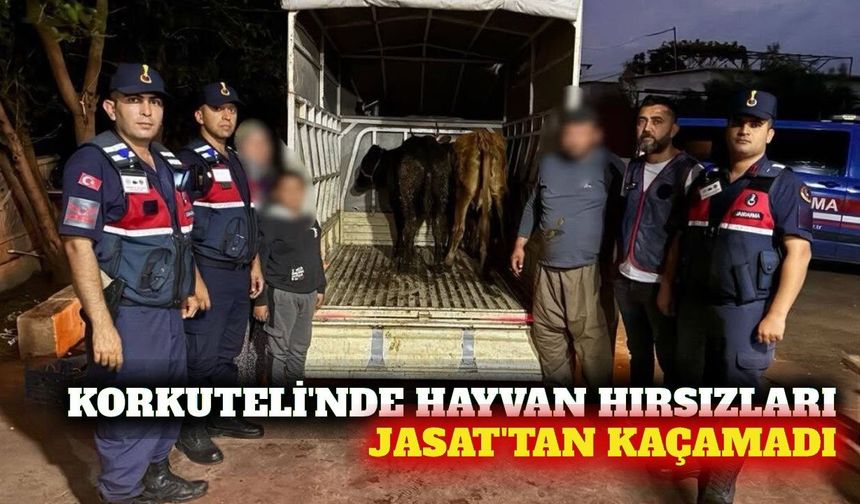 Korkuteli'nde hayvan hırsızlığı JASAT takibiyle çözüldü