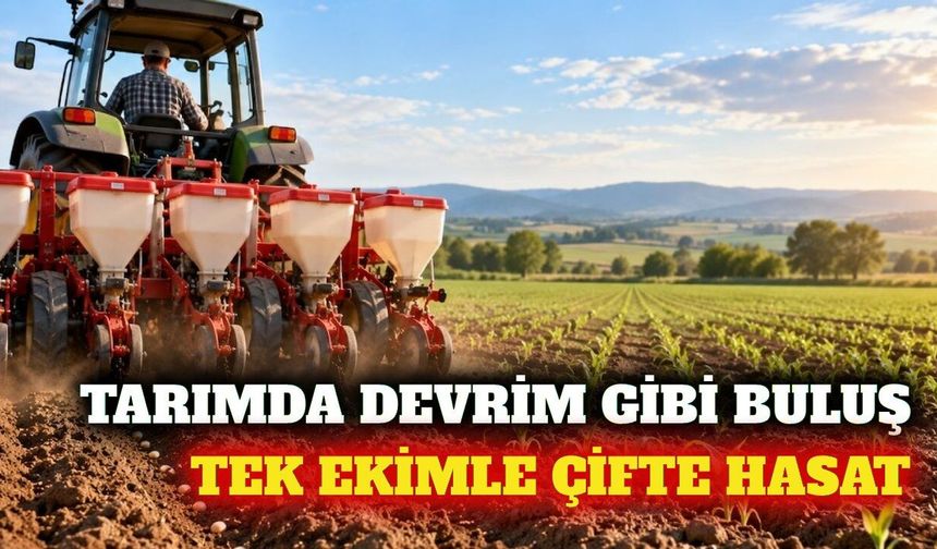 Tarımda yeni buluş: Tek ekimle birden fazla hasat