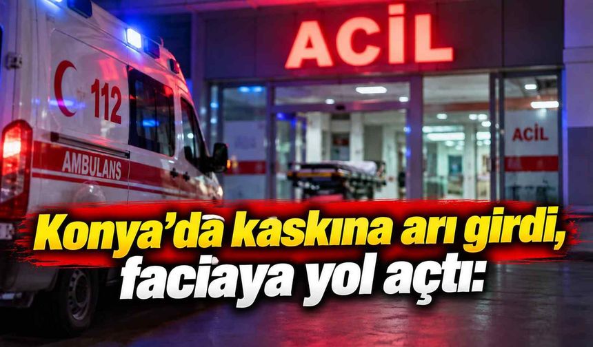 Konya’da kaskına arı girdi, faciaya yol açtı