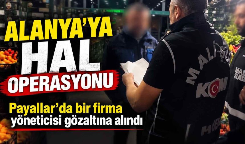 Alanya’ya hal operasyonu: Payallar’da bir firma yöneticisi gözaltına alındı