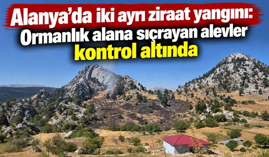 Alanya’da iki ayrı ziraat yangını: Ormanlık alana sıçrayan alevler kontrol altında