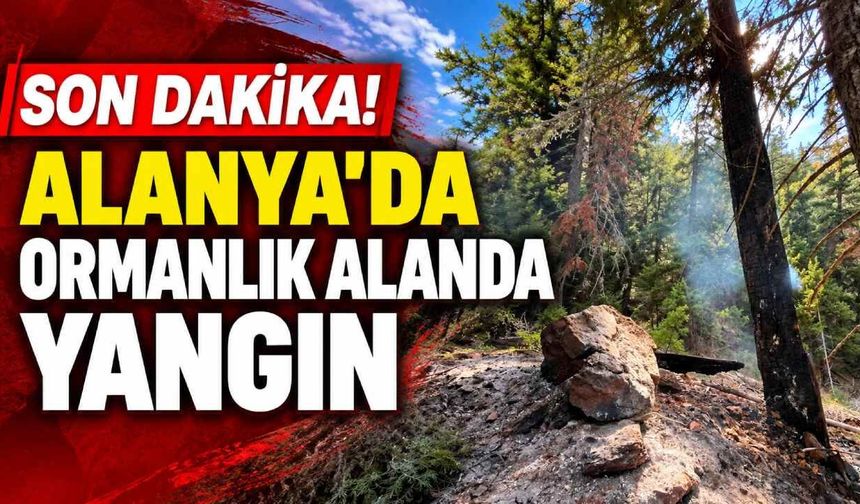 Son Dakika! Alanya'da ormanlık alanda yangın