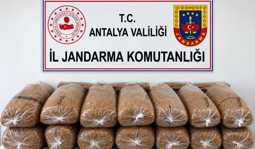Alanya’da jandarmadan kaçak tütün operasyonu