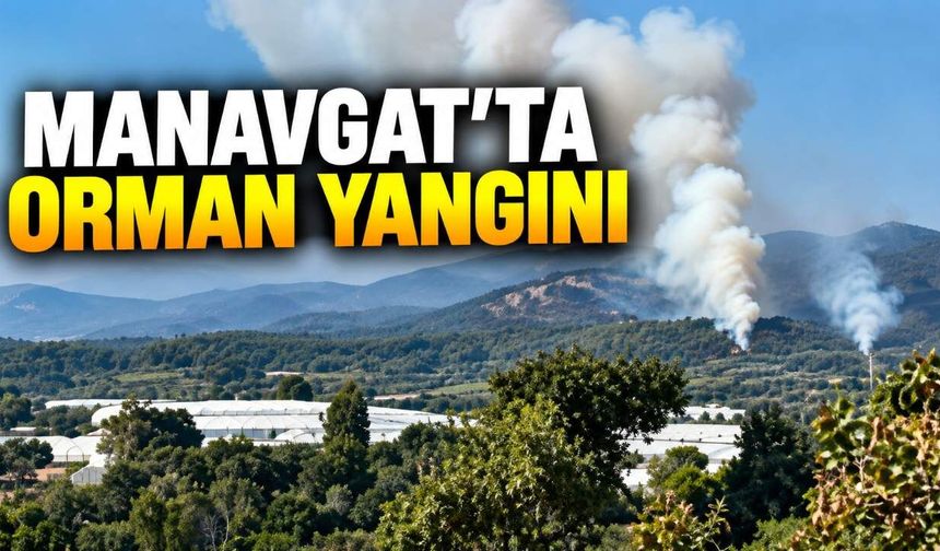 Manavgat'taki orman yangını bir saatte kontrol altına alındı