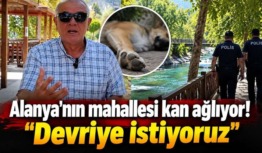 Alanya'nın o mahallesi  kan ağlıyor! "Devriye istiyoruz"