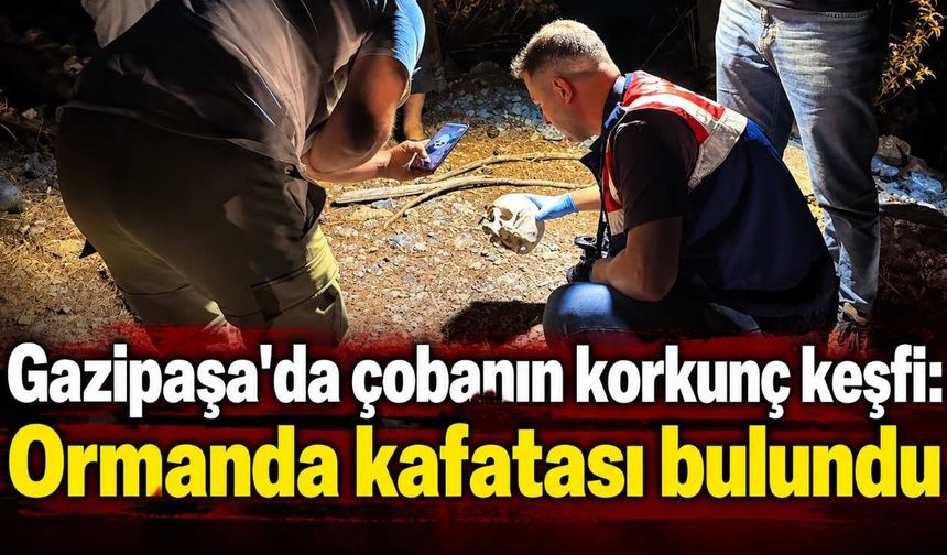 Gazipaşa'da çobanın korkunç keşfi: Ormanda kafatası bulundu