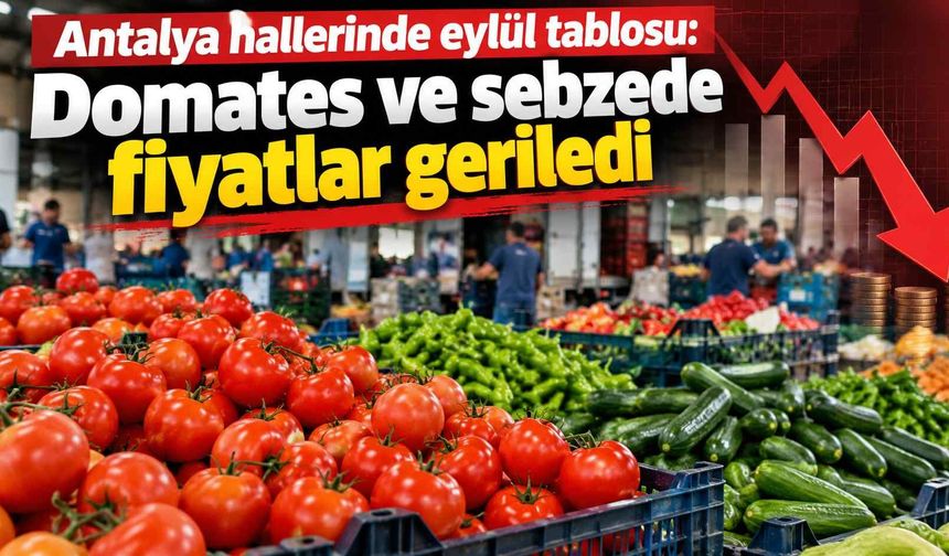 Antalya hallerinde eylül tablosu: Domates ve sebzede fiyatlar geriledi