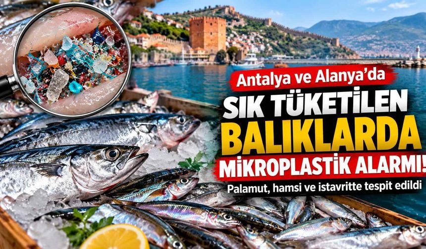 Antalya ve Alanya'da sık tüketilen balıklarda mikroplastik alarmı!