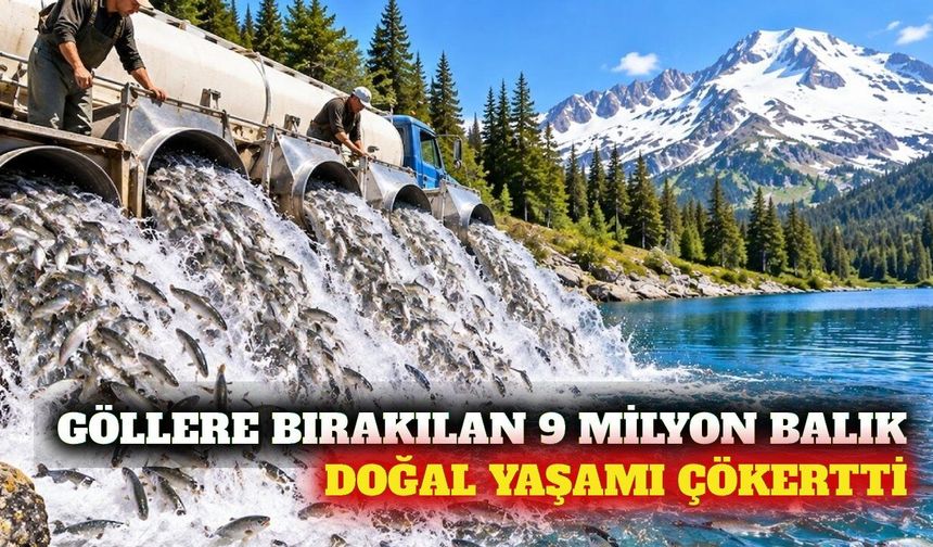 Göllere bırakılan 9 milyon balık ekosistemi bozdu