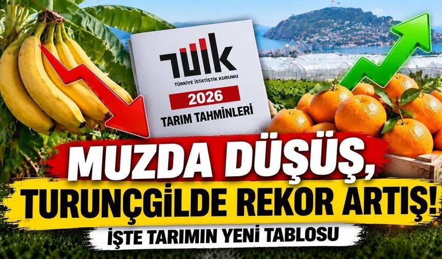 Alanya tarımında kritik dönem! TÜİK'in rakamları şaşırttı
