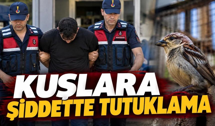 Alanya’da kuşları öldürüp görüntüleri paylaşan Yusufcan Turay tutuklandı