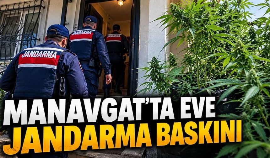 Manavgat'ta evinde kenevir yetiştiren şüpheli gözaltına alındı