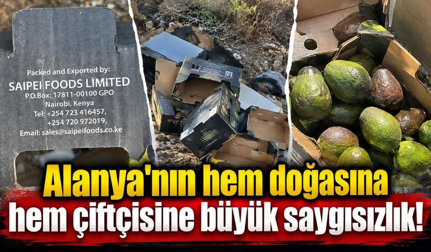 Alanya'nın hem doğasına hem çiftçisine büyük saygısızlık!