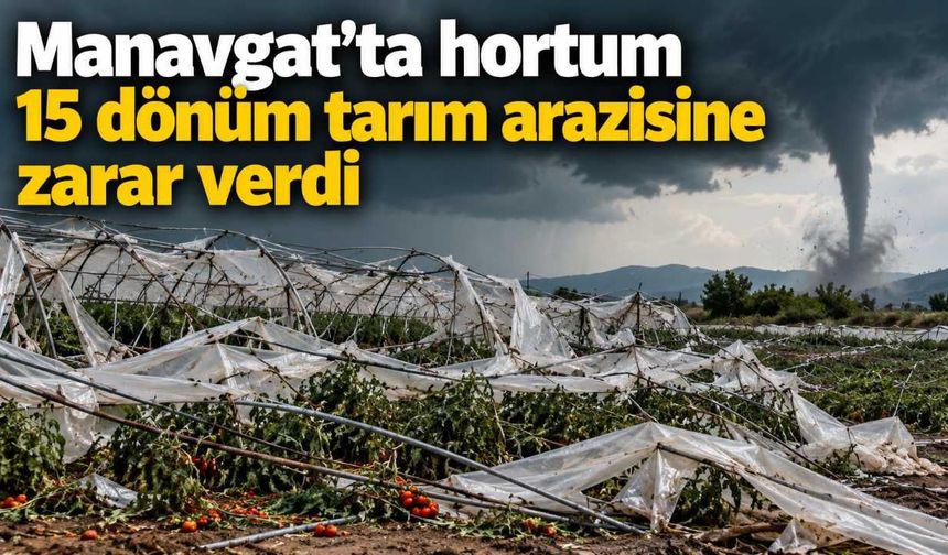 Manavgat’ta hortum 15 dönüm tarım arazisine zarar verdi