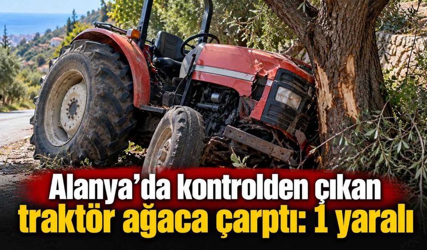 Alanya’da kontrolden çıkan traktör ağaca çarptı: 1 yaralı
