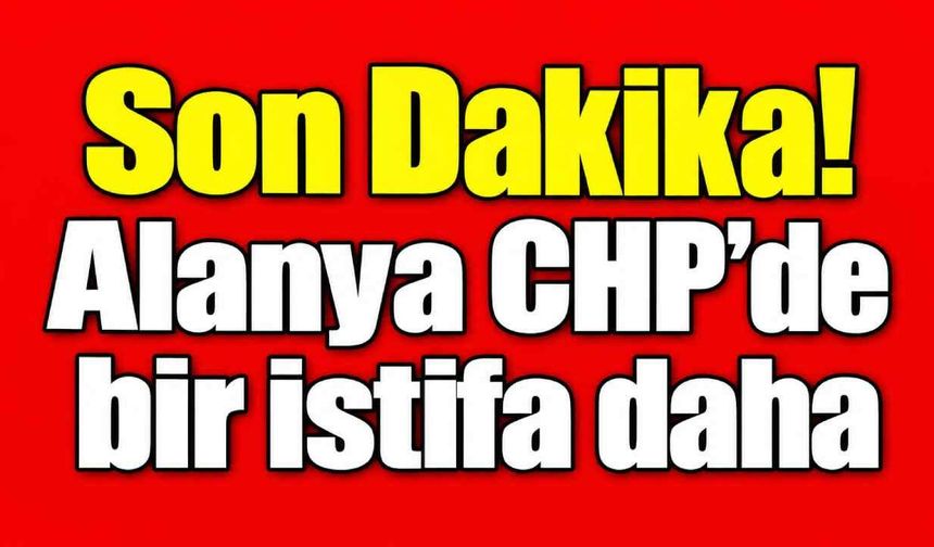 Son Dakika! Alanya CHP'de bir istifa daha