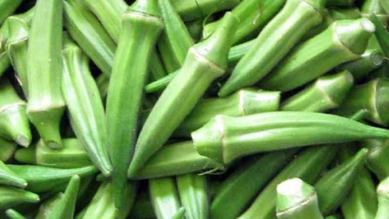 Zayıflatıyor ve hafızayı güçlendiriyor