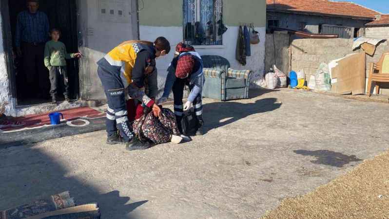 Köpek yumurtaları yedi, tüfek, taş ve sopalar konuştu! 3 yaralı