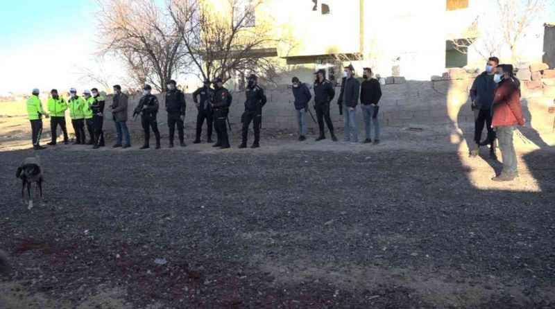 Köpek yumurtaları yedi, tüfek, taş ve sopalar konuştu! 3 yaralı