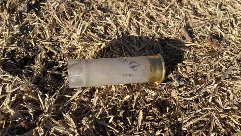 Köpek yumurtaları yedi, tüfek, taş ve sopalar konuştu! 3 yaralı