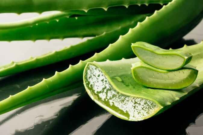 Aloe vera bitkisinin inanlmaz faydalar! - Antalya Haber, Son Dakika  Antalya Haberleri