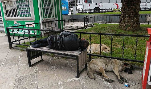 Alanya'da evsiz sorunu büyüyor: Parklarda yatacak yer kalmayacak yakında