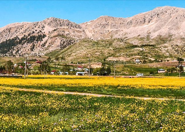 Alanya'da Gökbel Güreşleri ve Yayla Şenliği iptal mi ediliyor?