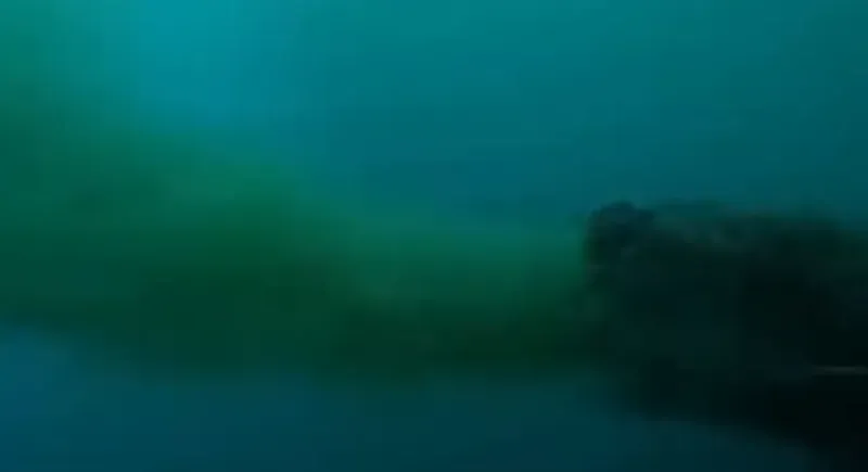 Alanya'da deniz alarm veriyor: Kirlilik tehlikeli seviyelerde! Çocuklar enfeksiyon kapmaya başladı