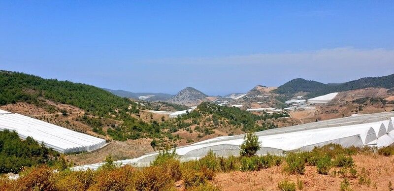 Doğu Alanya Kerbela'ya döndü