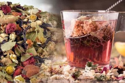 Alanya'da yeni tehlike: Yarardan çok zararı varmış