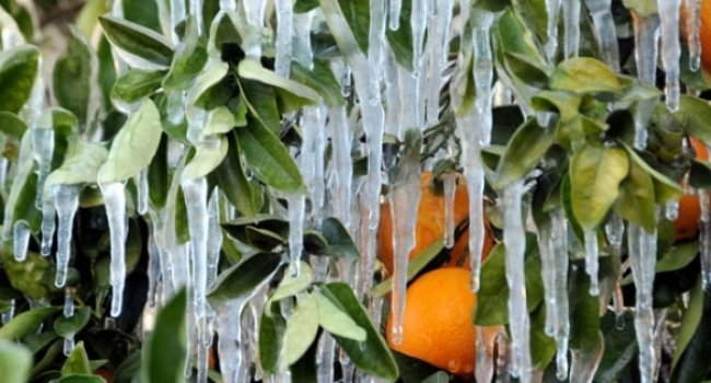 Alanya'da don alarmı: Eksi 4'leri göreceğiz