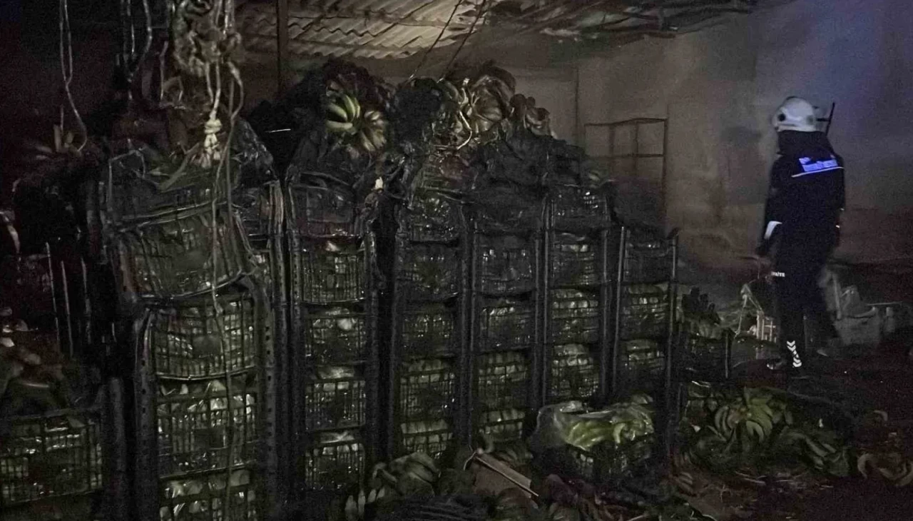 Alanya'da tonlarca muz yanarak yok oldu