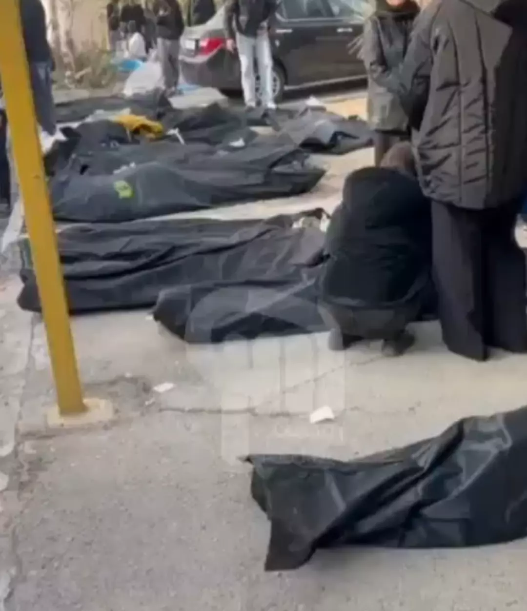 1200Xauto 2026 01 12T130014.102