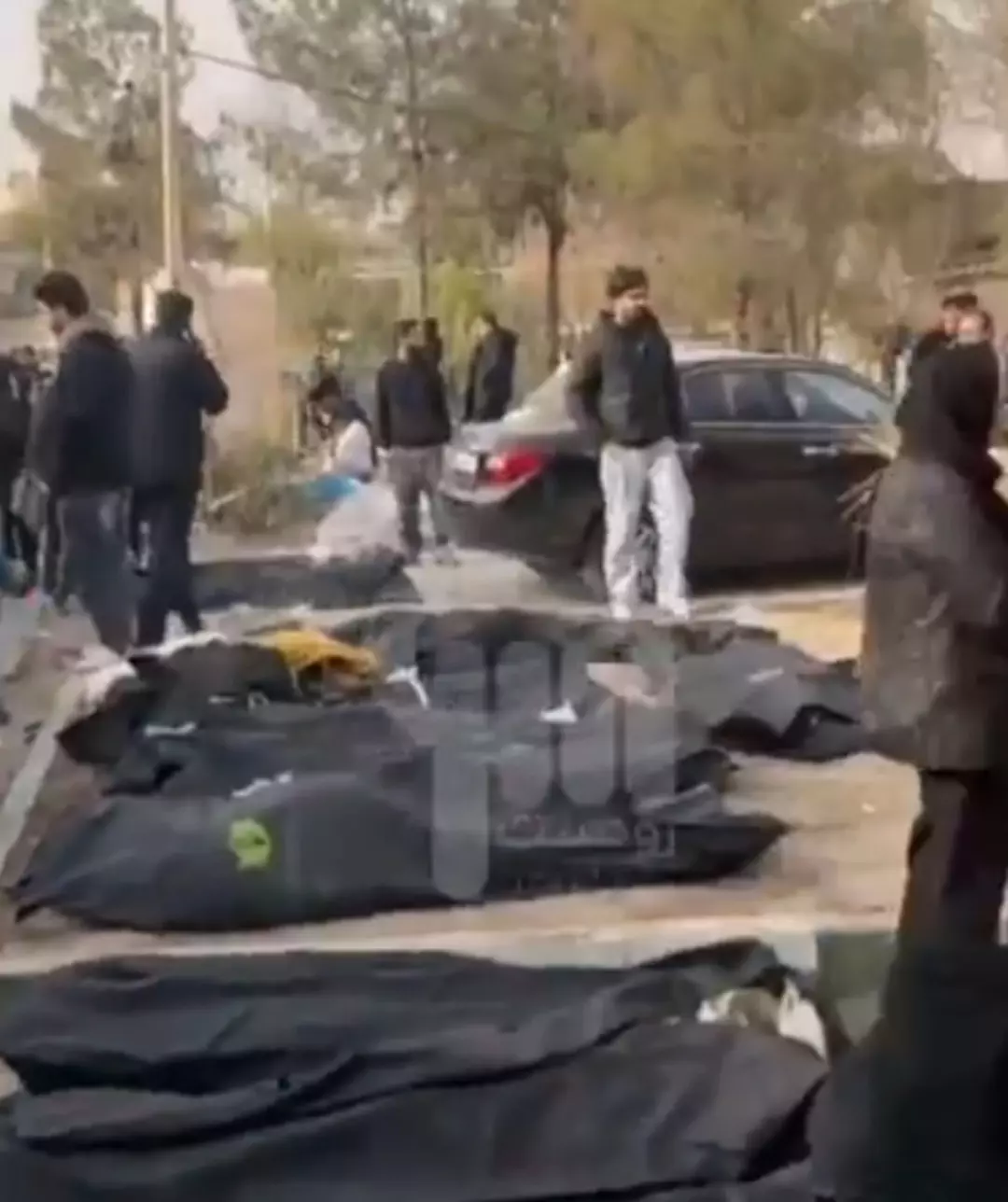 1200Xauto 2026 01 12T130023.373