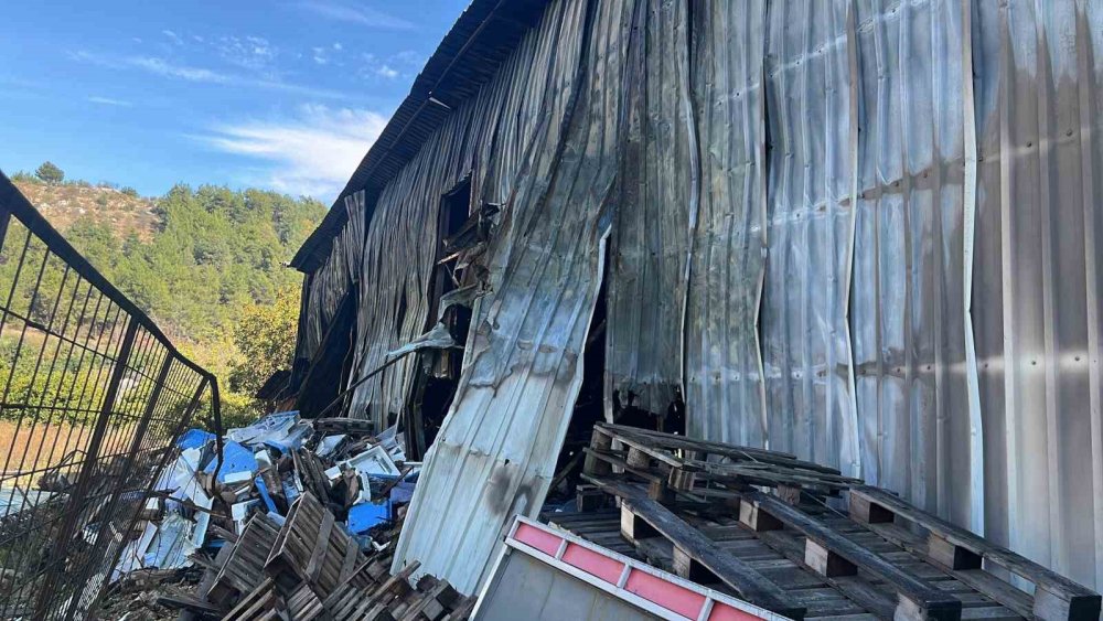 Alanyada 30 Milyonluk Zarar Gun Agarinca Ortaya Cikti 003