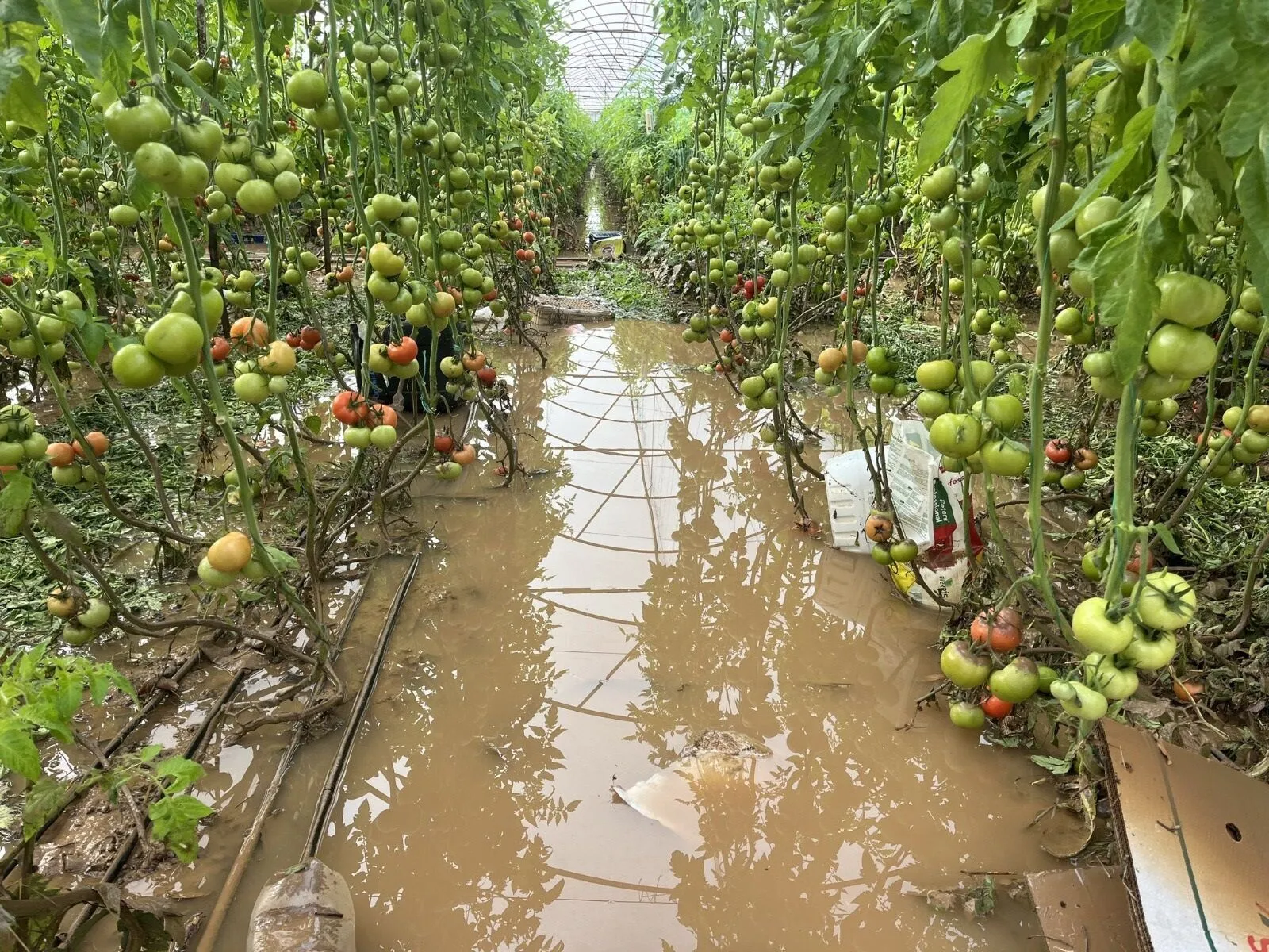 Antalyadaki Hortum Ve Selin Bedeli Agir Oldu 3
