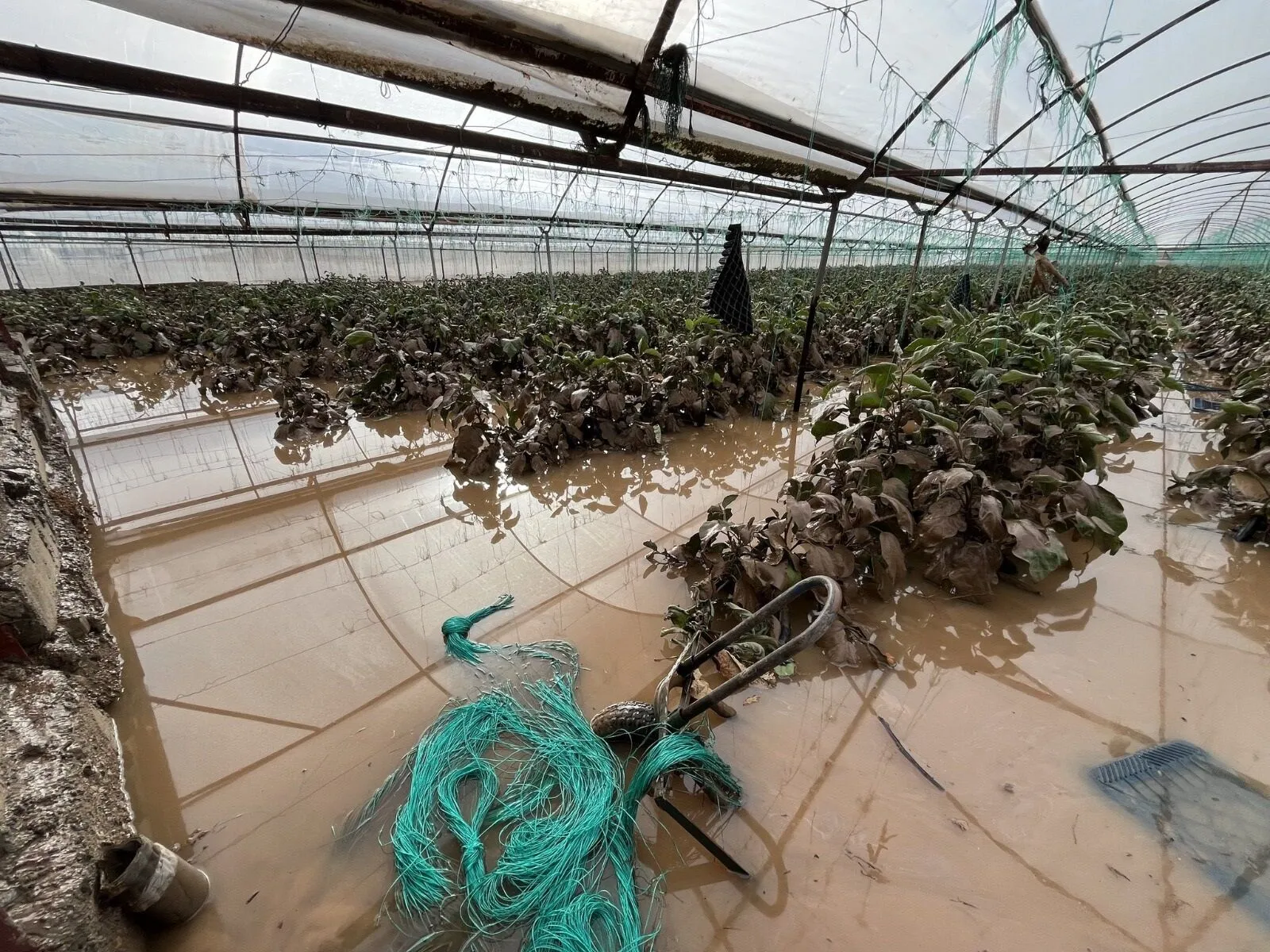 Antalyadaki Hortum Ve Selin Bedeli Agir Oldu 4