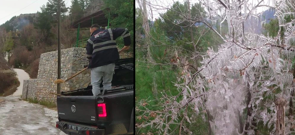 Alanya'da buz şoku! Kırsal kesim buz pistine döndü