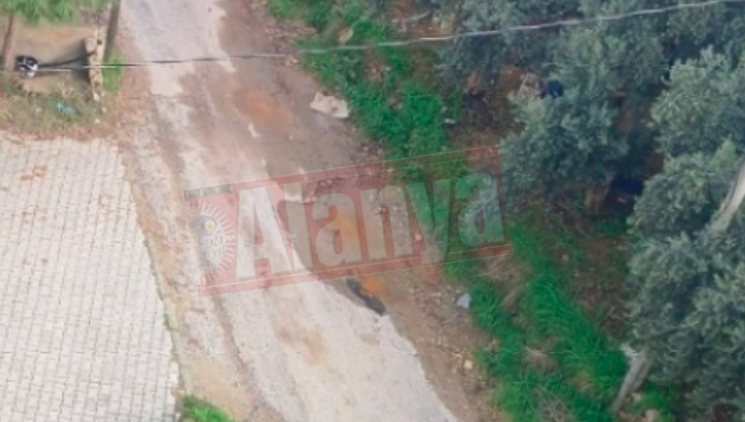 Ekran Görüntüsü 2026 01 26 14 40 46