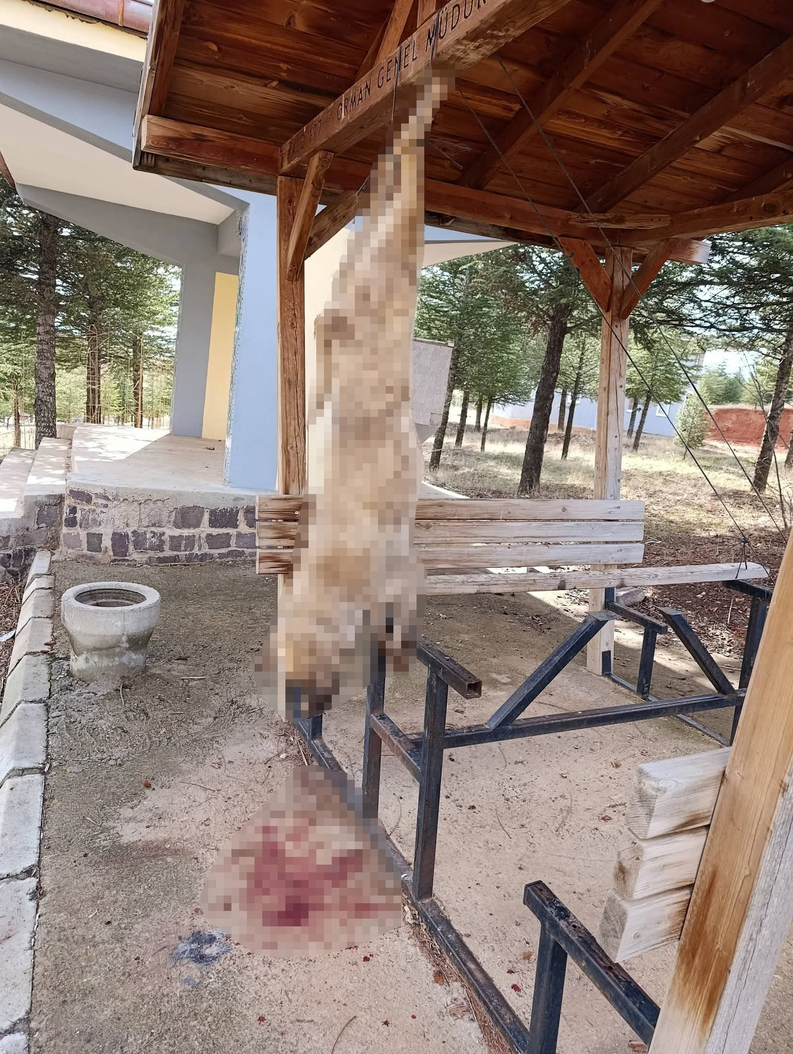 Kan donduran v*hşet: Ayaklarından asılarak v*hşice öldürüldü