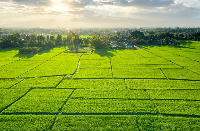 İcradan satılık arsa