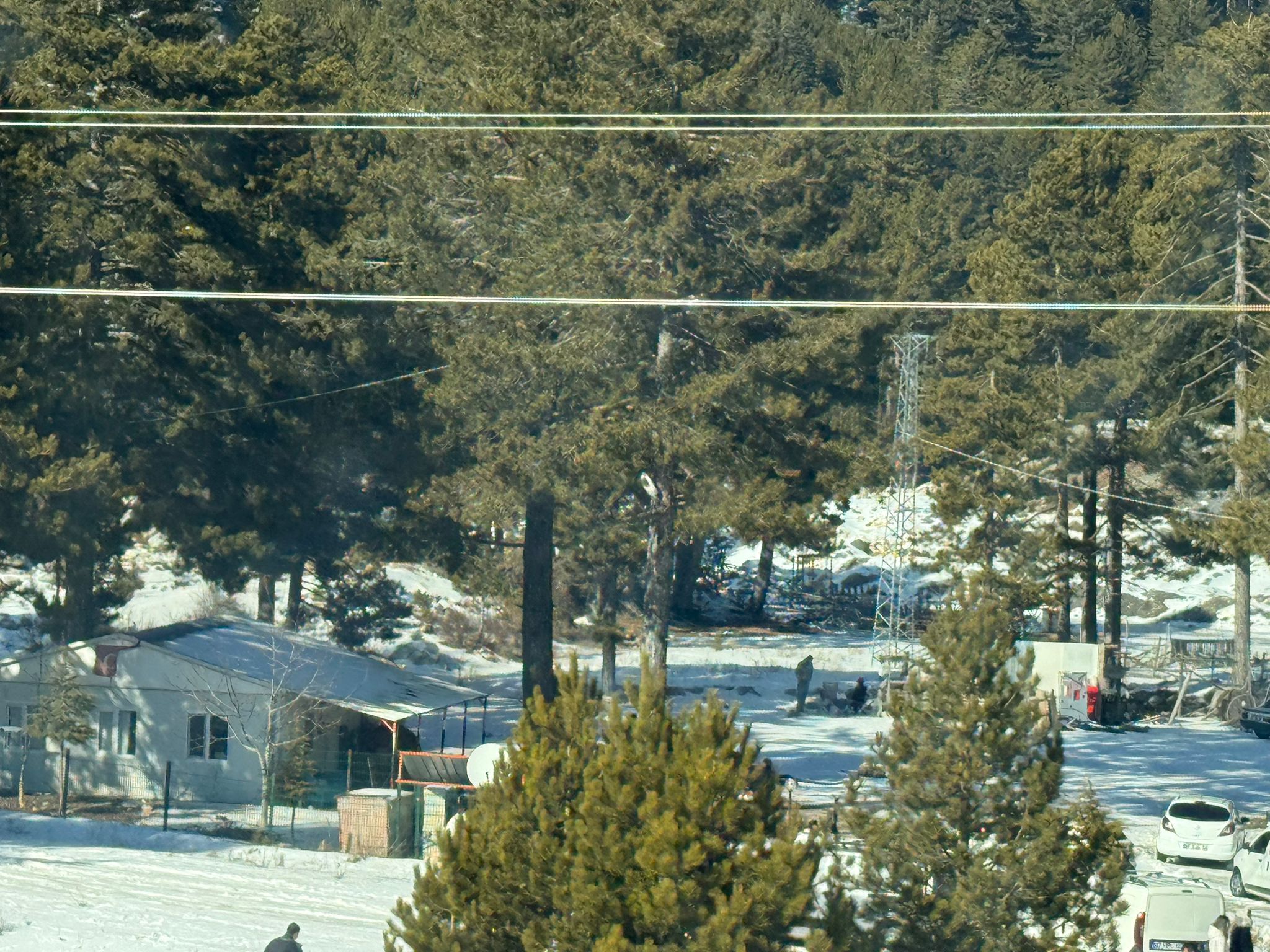 Whatsapp Image 2026 01 18 At 14.19.45 (4)