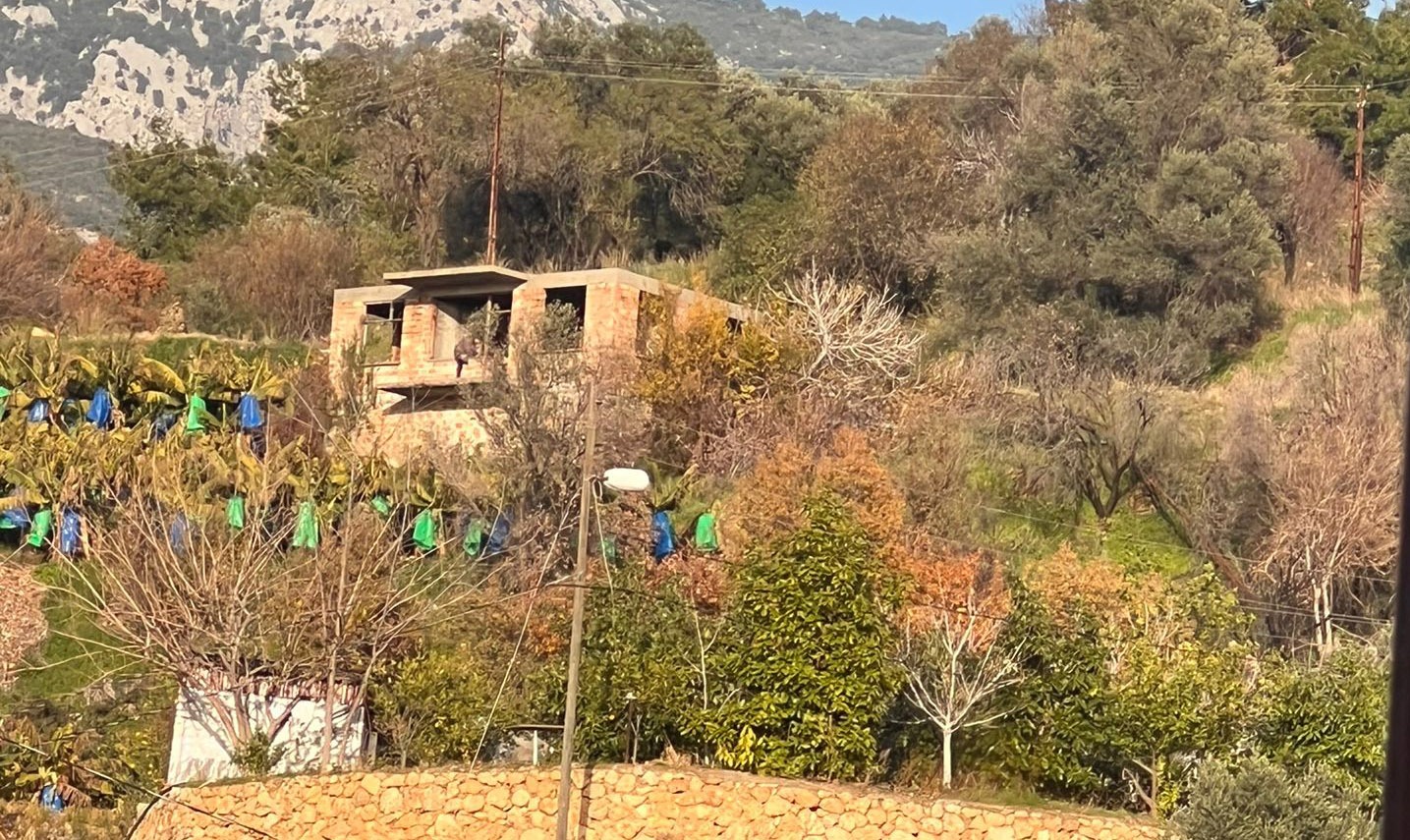 Alanya'da mahalleliyi ayağa kaldıran olay: Jandarma operasyon yaptı