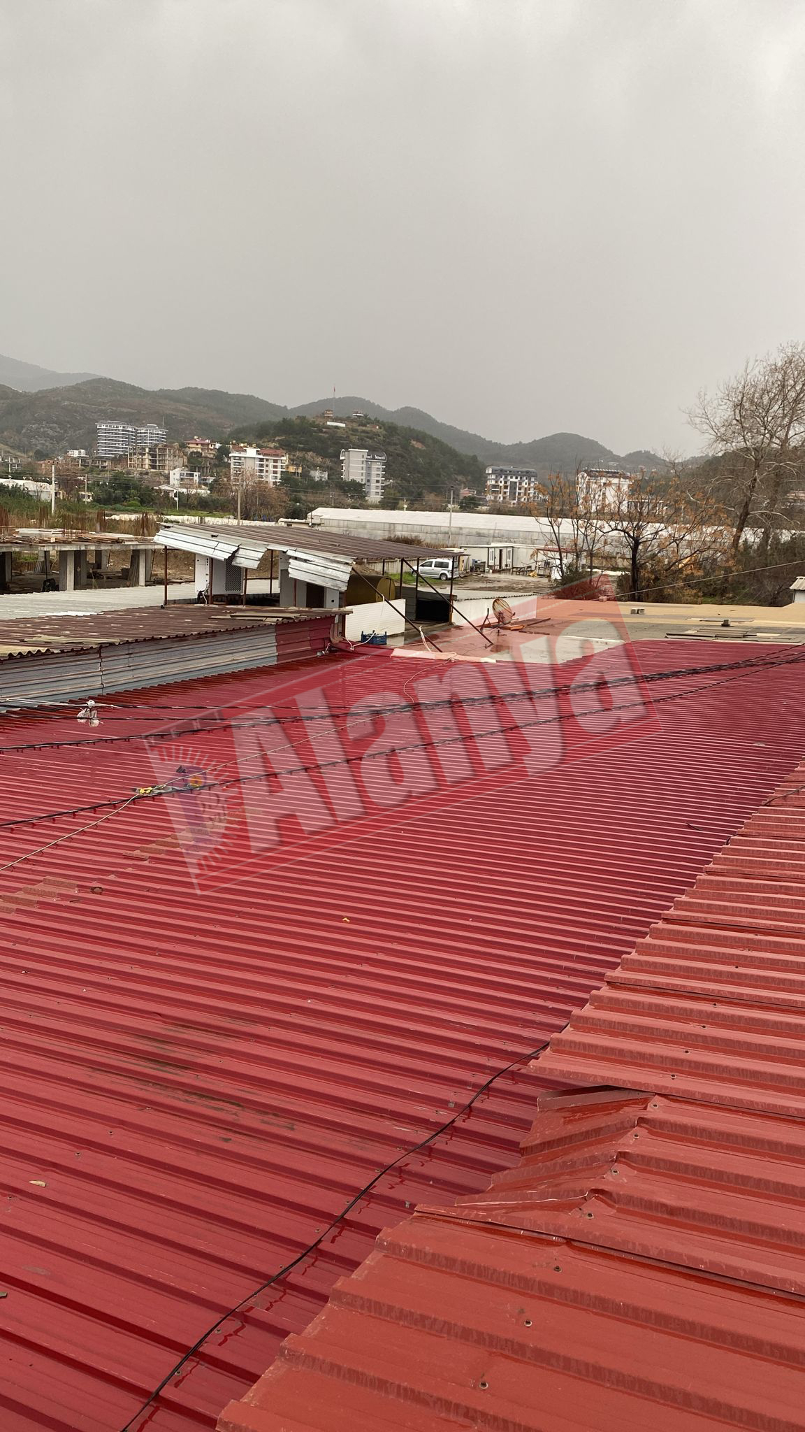 Whatsapp Image 2026 01 27 At 13.35.56