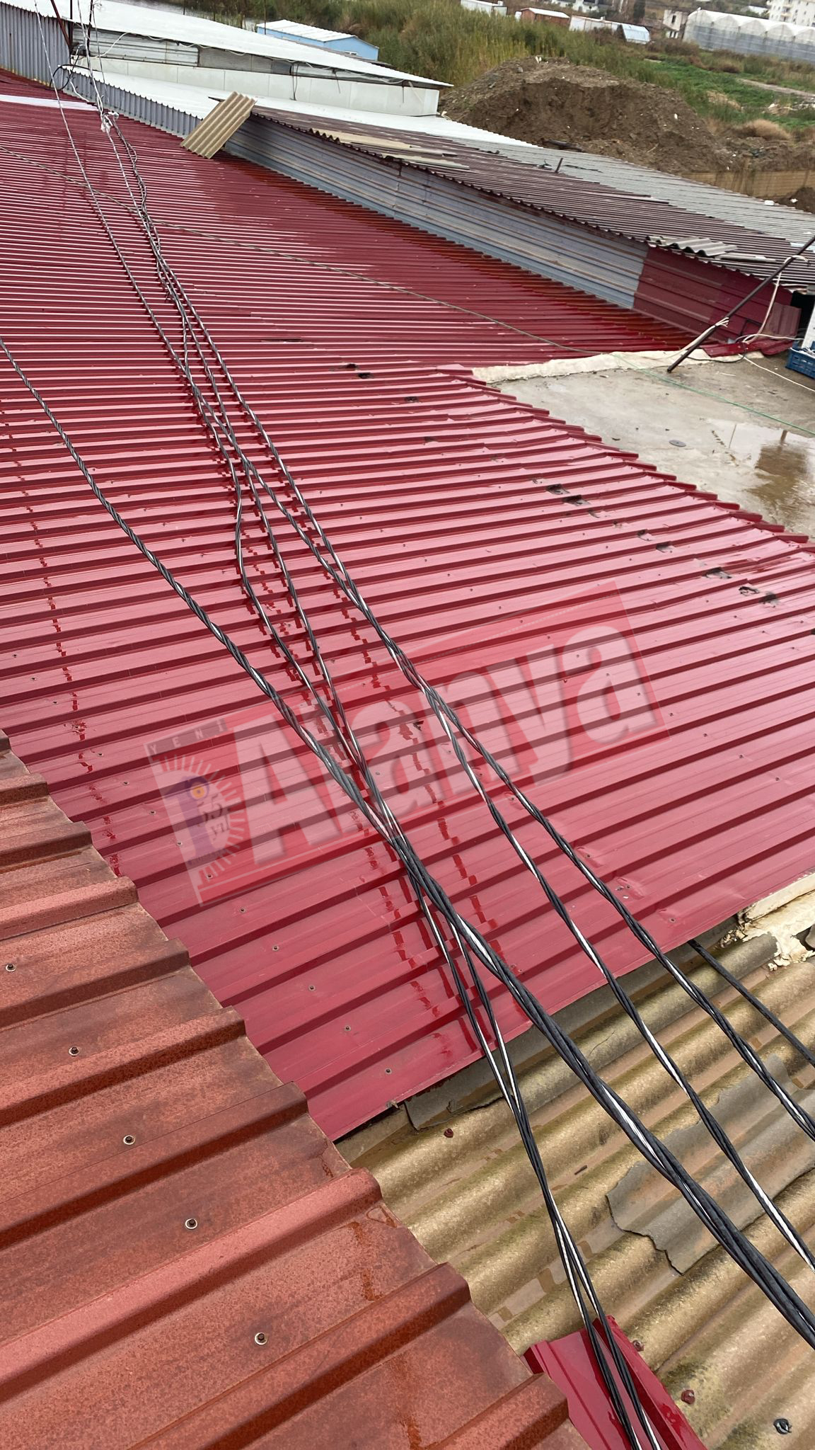 Whatsapp Image 2026 01 27 At 13.36.54