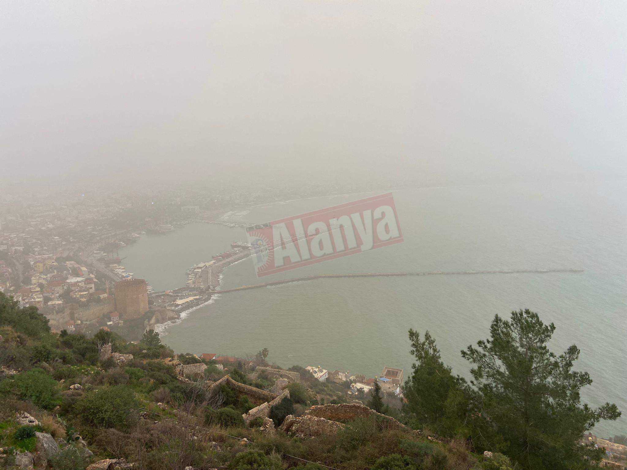 07769E70 58D1 40C7 87E6 0101B807587D