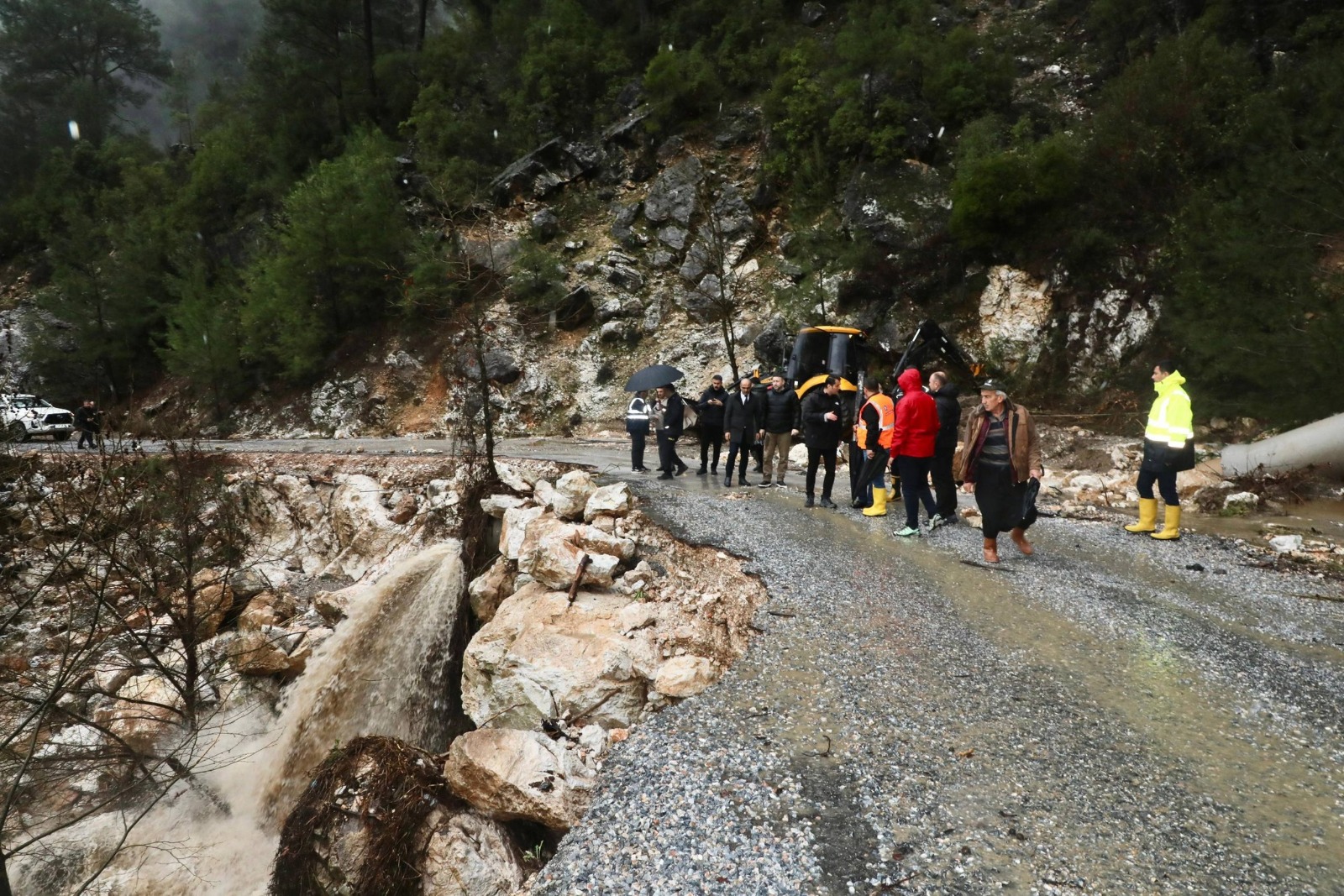 15163D58 272C 4C7F B0A6 Ceced5C7E5Ba