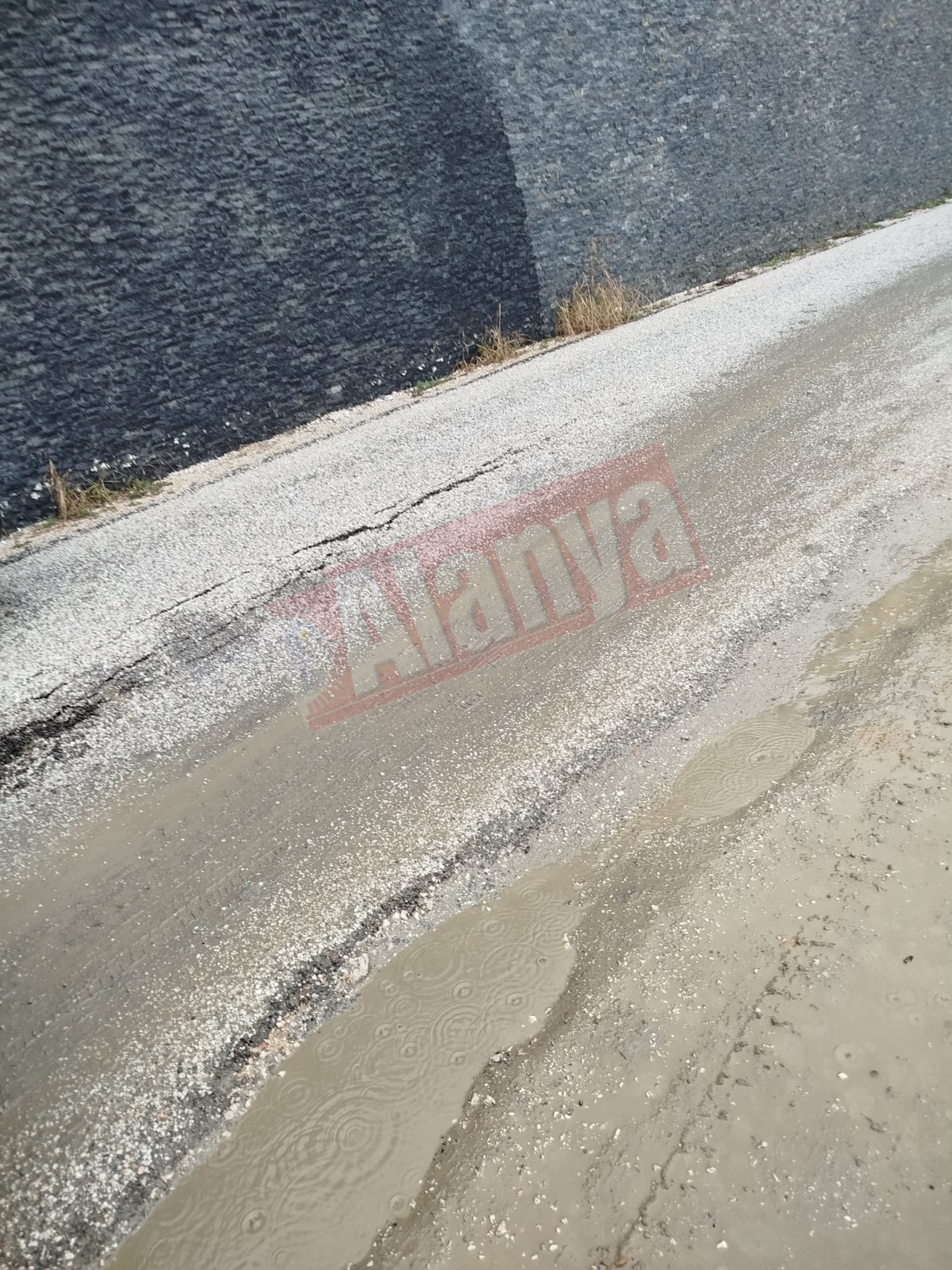 18D6Db9D 03E1 468F A88A C0B8Fc82Eb37